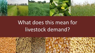 The future of farming and food