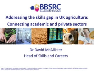 Addressing the skills gap in UK agriculture:
           Connecting academic and private sectors




                                                    Dr David McAllister
                                                  Head of Skills and Careers

Image 1 – Tomato seedling iStockphoto/Thinkstock, Image 2 – Fermenter iStockphoto/Thinkstock 2011, Image 3 – Wheat Hermerara/Getty Images, Image 4 –DNAConfig Ryan McVay/Photodisc/Thinkstock,
Image 5 – Jersey Cow iStockphoto/Thinkstock, Image 6 – Scientist Comstock / Thinkstock
 
