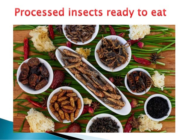 Edible insects in India Future Food.pptx