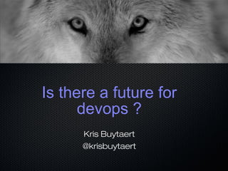 Is there a future for
devops ?
Kris Buytaert
@krisbuytaert
 