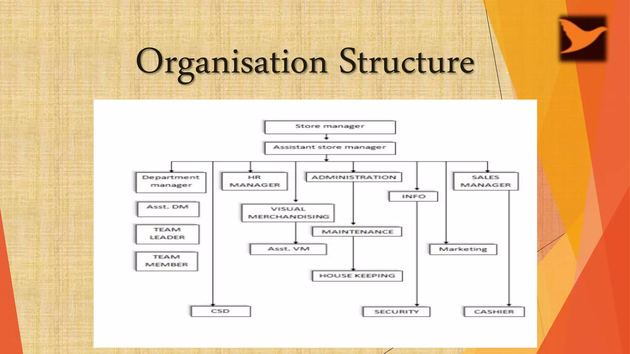 Organisation Structure
 
