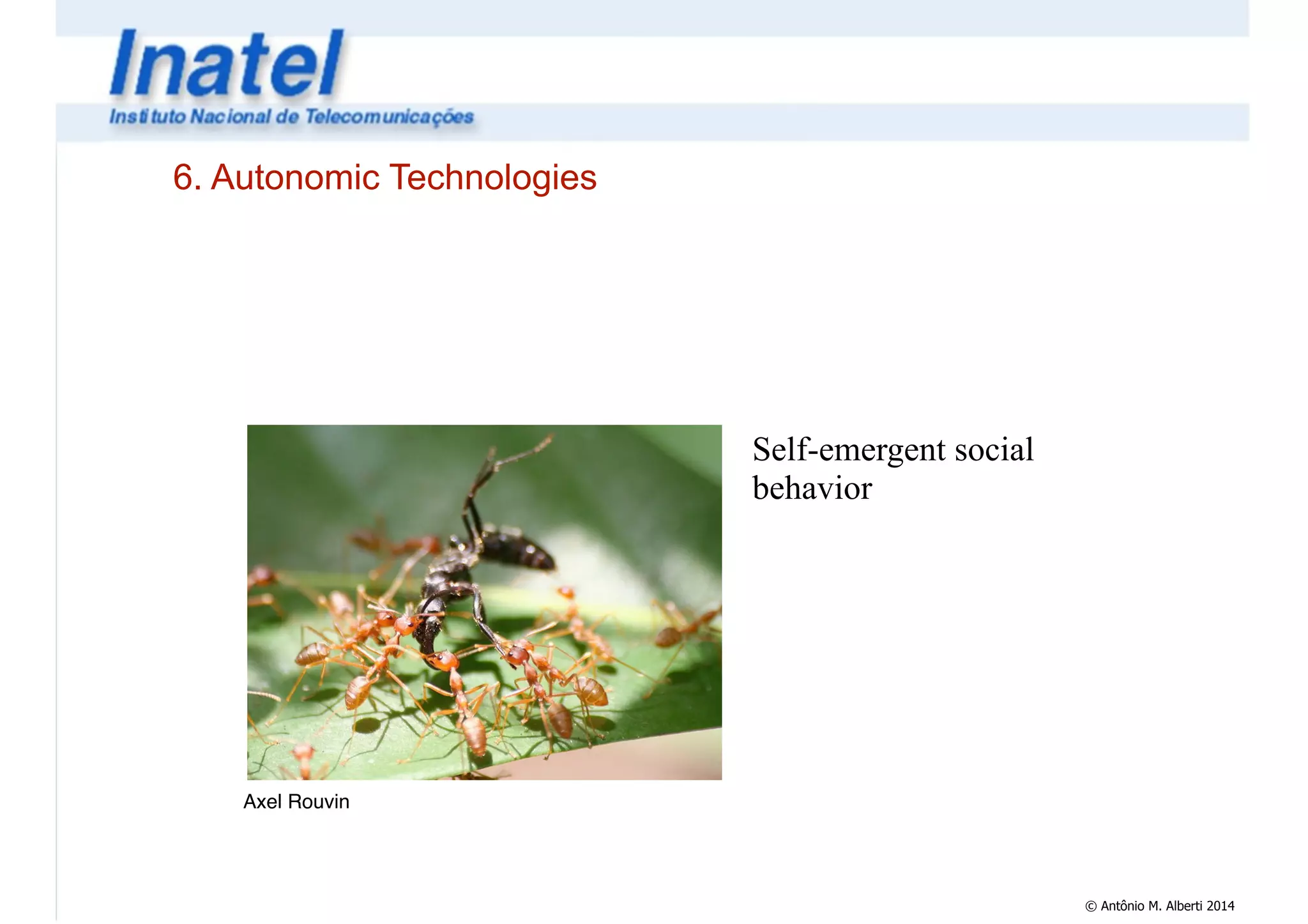 © Antônio M. Alberti 2014 
6. Autonomic Technologies 
Axel Rouvin 
Self-emergent social 
behavior 
 