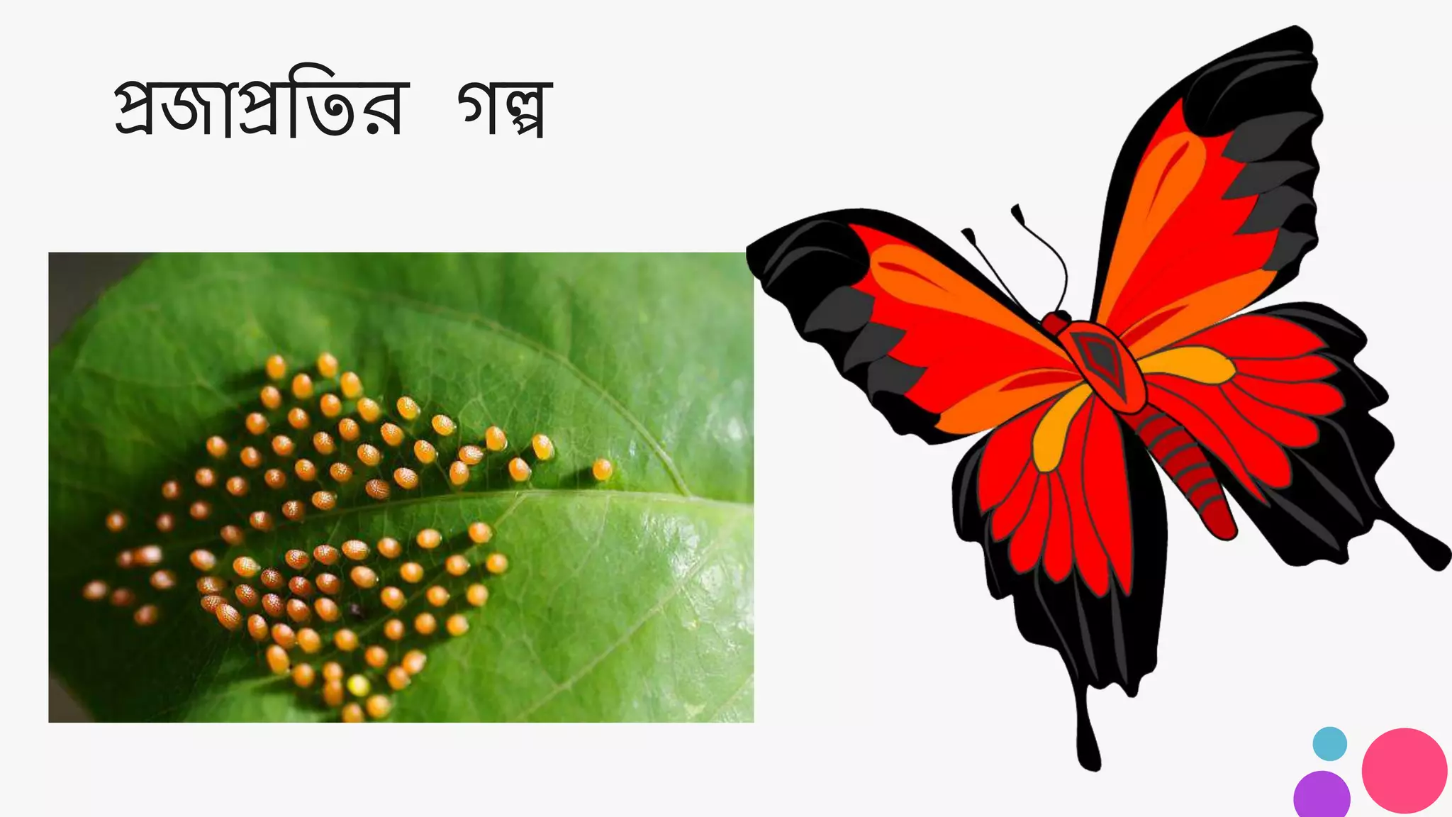 প্রজাপ্রততর গল্প
 