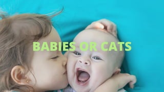 BABIES OR CATS 
 