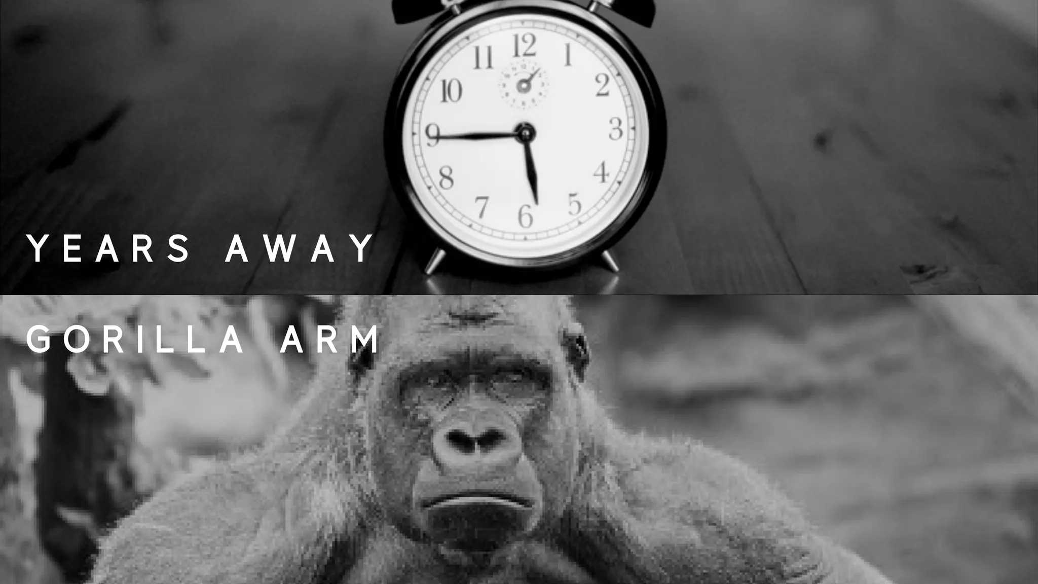Y E A R S A W A Y
G O R I L L A A R M