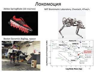 Локомоция 
Adidas SpringBlade (16 пластин) MIT Biomimetic Laboratory, Сheetach, 47км/ч 
38 
Boston Dynamics BigDog, «рука» 
 