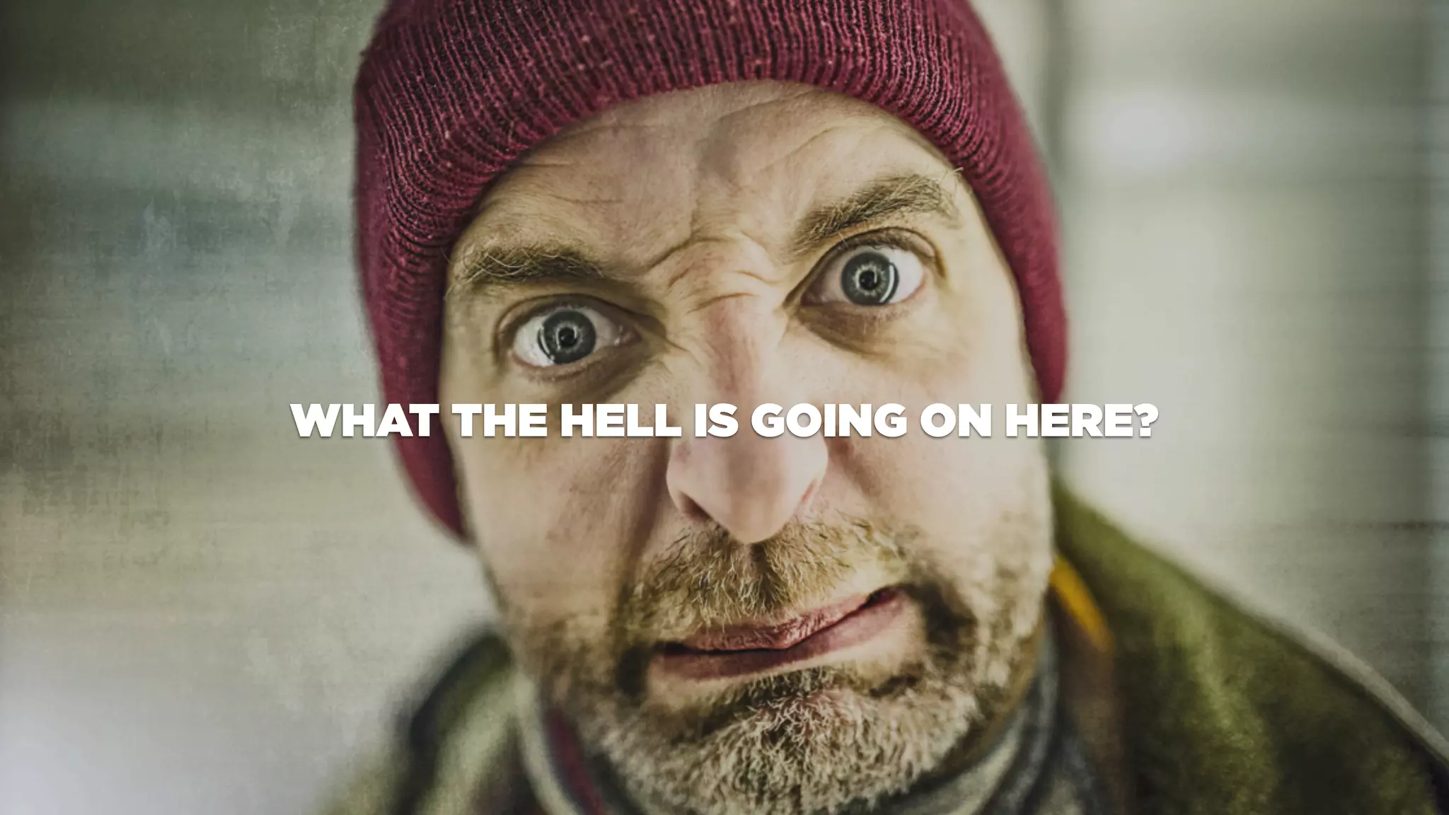 WHAT THE HELL IS GOING ON HERE?
 