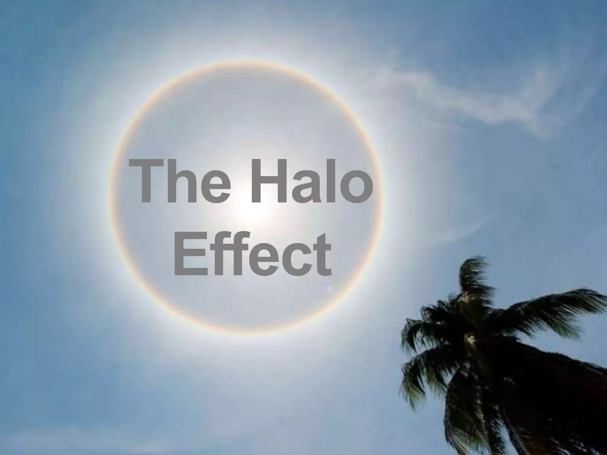 14
The Halo
Effect
 