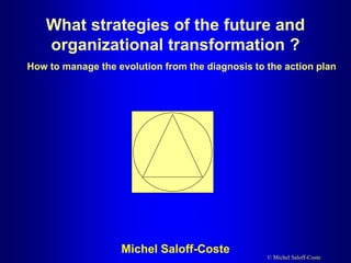 © Michel Saloff-Coste
How to manage the evolution from the diagnosis to the action plan
Michel Saloff-Coste
What strategies of the future and
organizational transformation ?
 
