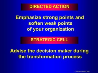 © Michel Saloff-Coste
DIRECTED ACTION
Advise the decision maker during
the transformation process
Emphasize strong points and
soften weak points
of your organization
STRATEGIC CELL
 