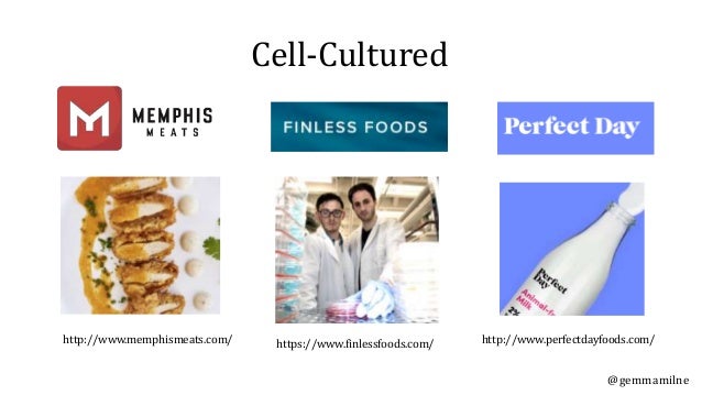 Science & The Future of Food