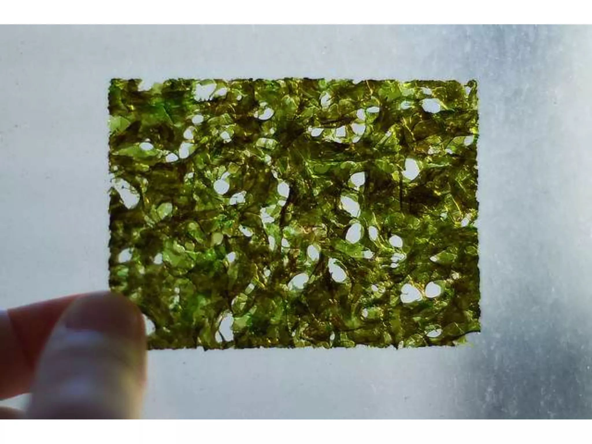 "The Future of Food,"  Manoj Fenelon, Director of Foresight, PepsiCo. 