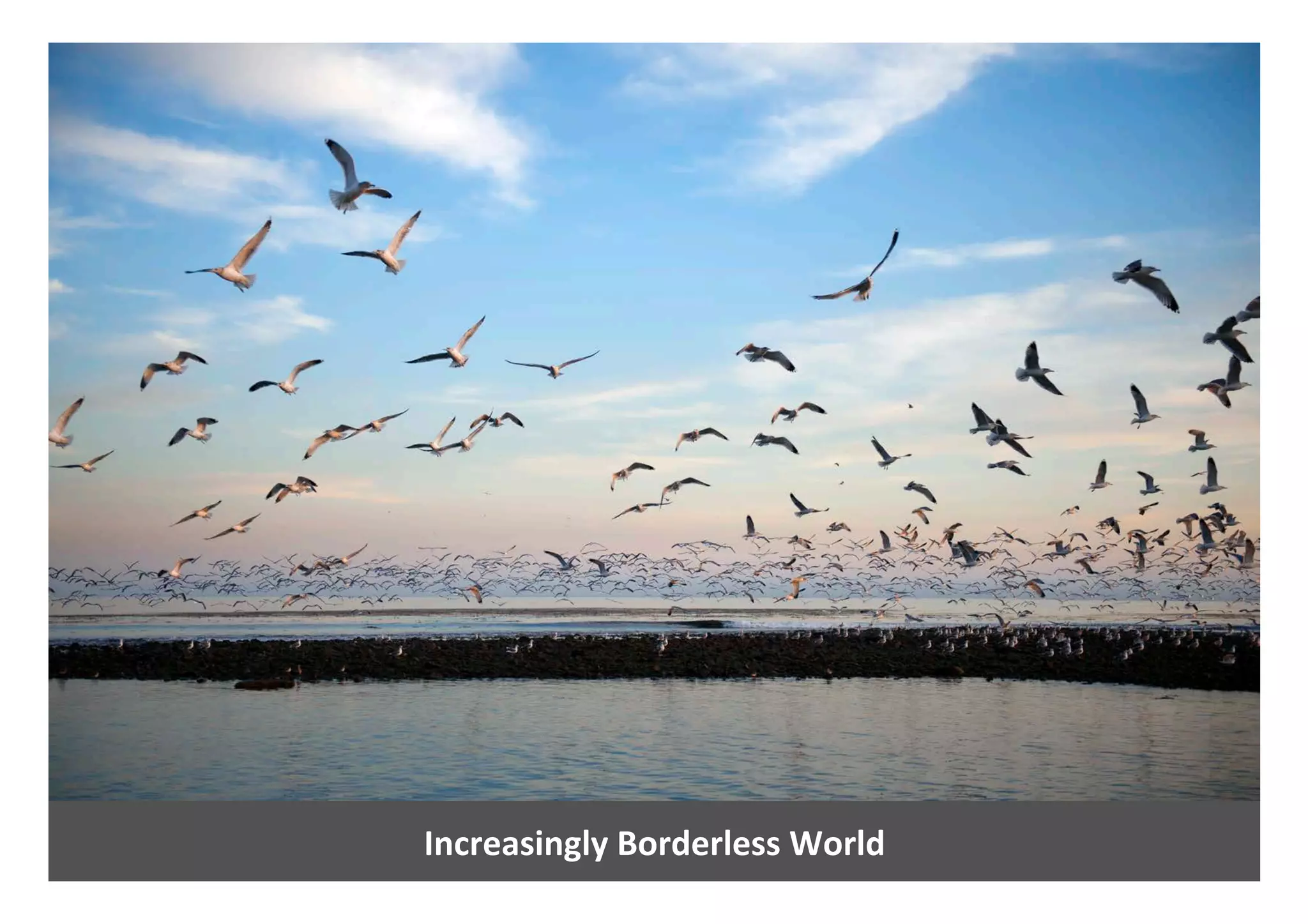 Increasingly	Borderless	World	
 