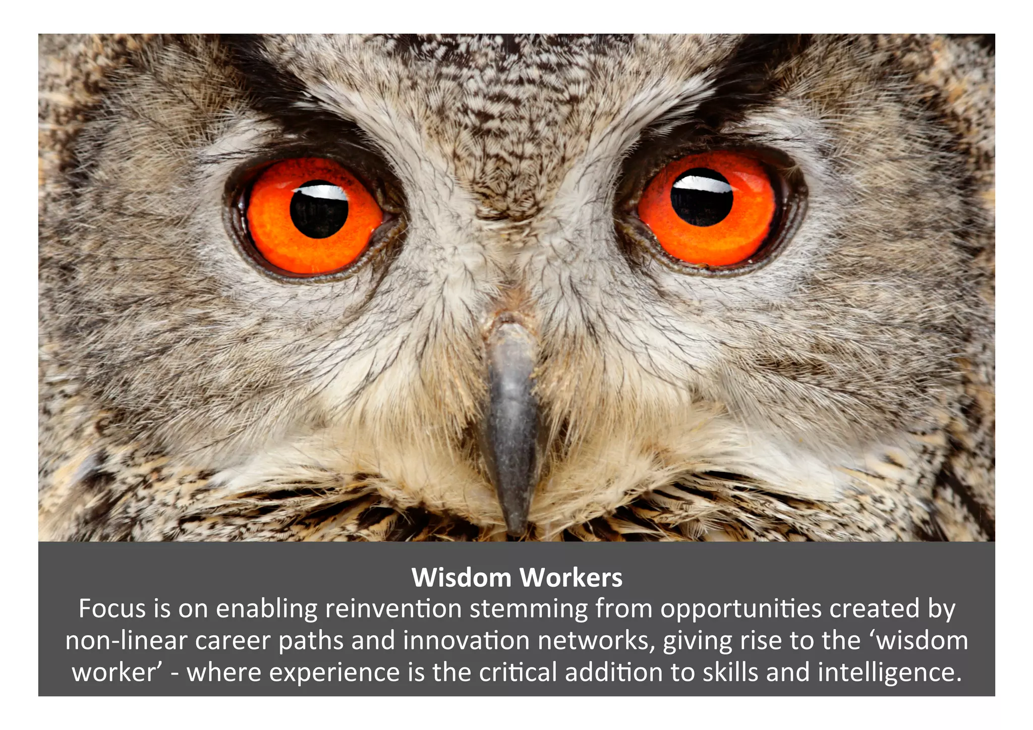 Wisdom	Workers	
Focus	is	on	enabling	reinven0on	stemming	from	opportuni0es	created	by		
non-linear	career	paths	and	innova0on	networks,	giving	rise	to	the	‘wisdom	
worker’	-	where	experience	is	the	cri0cal	addi0on	to	skills	and	intelligence.	
 