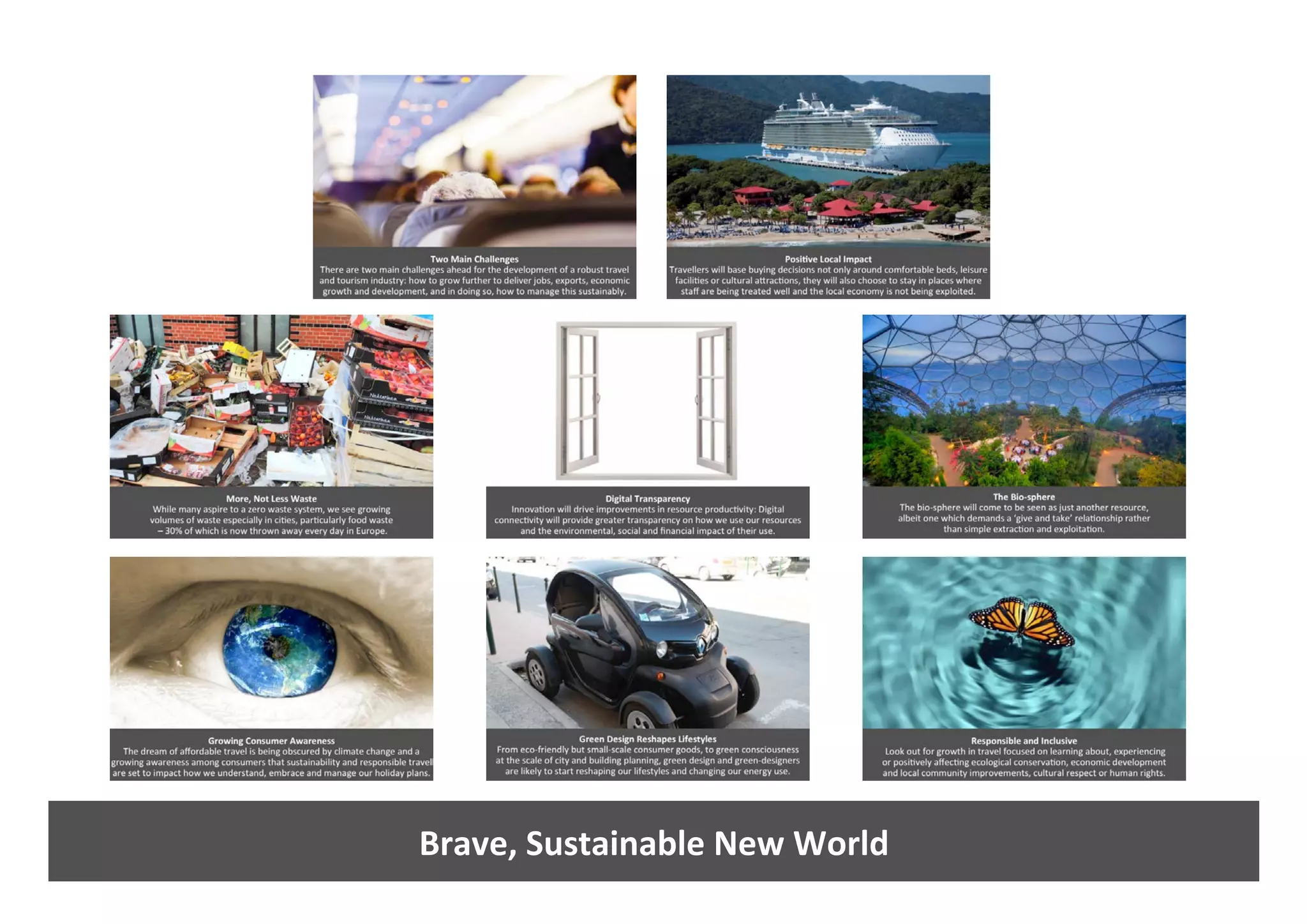 Brave,	Sustainable	New	World	
 
