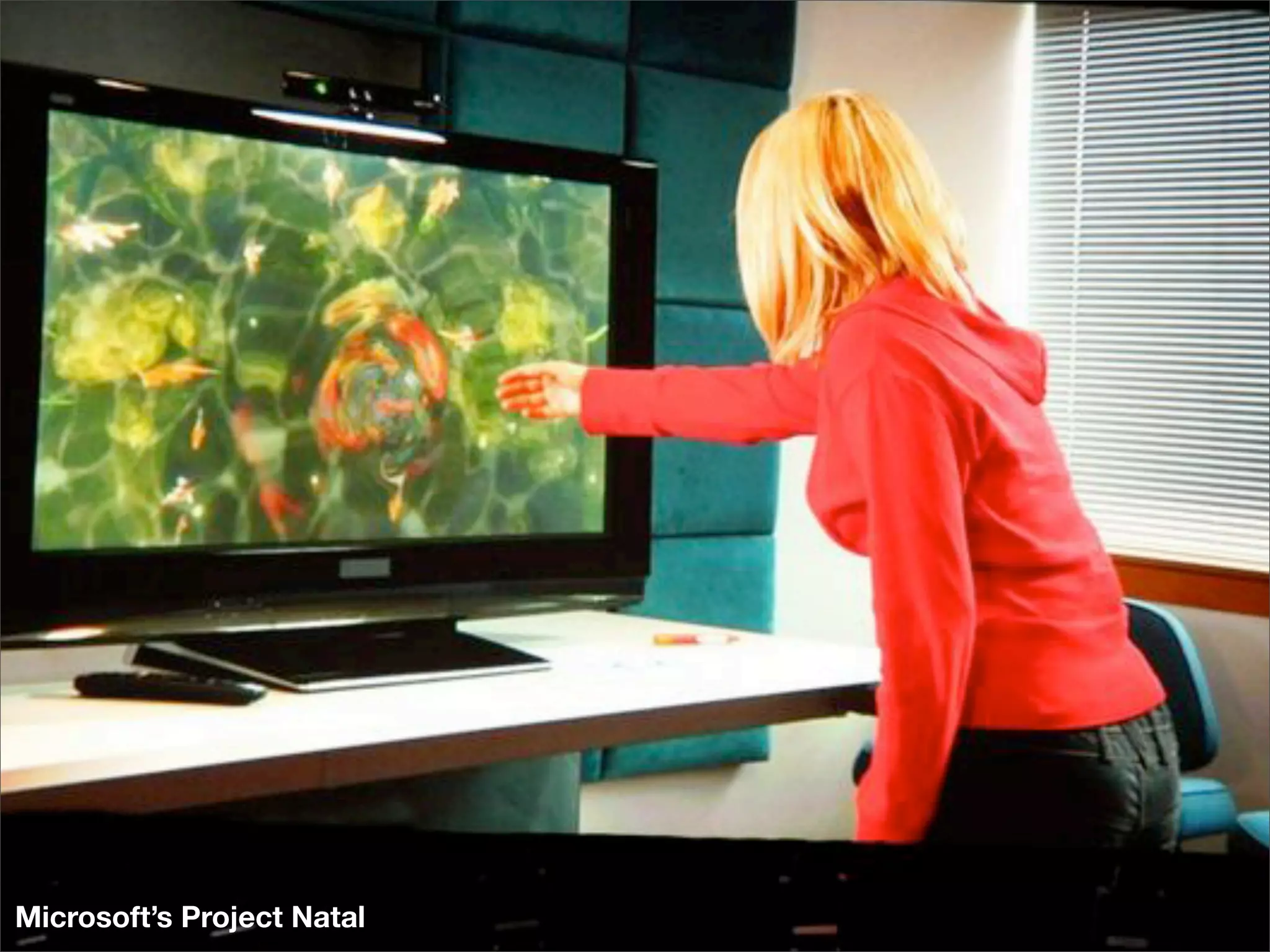 Microsoft’s Project Natal
 