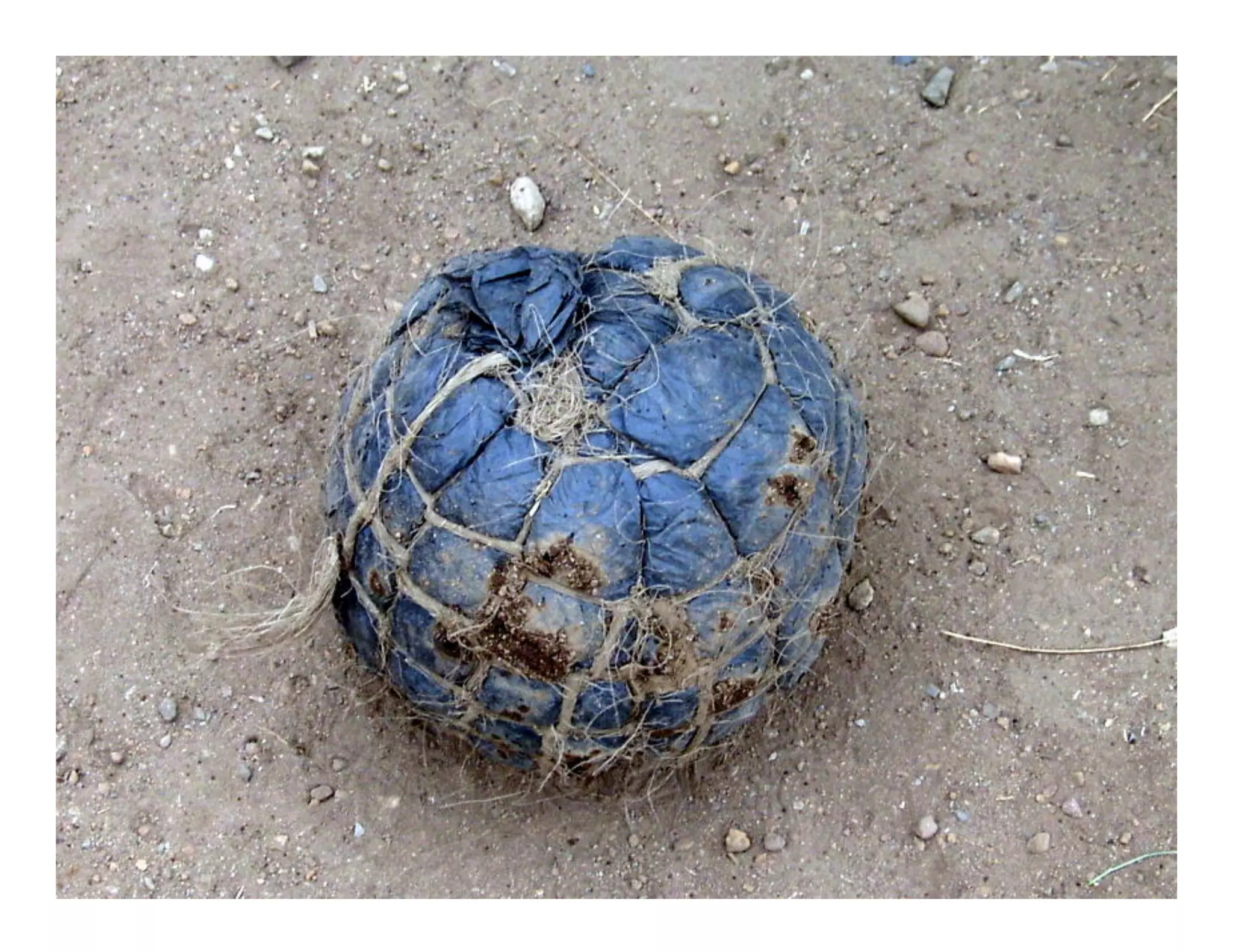 June 17, 2010




© 2010 frog design. Conﬁdential and Proprietary.
 