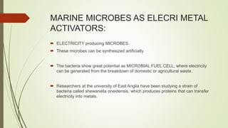 MARINE MICROBES AS ELECRI METAL
ACTIVATORS:
 ELECTRICITY producing MICROBES.
 These microbes can be synthesized artificially.
 The bacteria show great potential as MICROBIAL FUEL CELL, where electricity
can be generated from the breakdown of domestic or agricultural waste.
 Researchers at the university of East Anglia have been studying a strain of
bacteria called shewanella oneidensis, which produces proteins that can transfer
electricity into metals.
 
