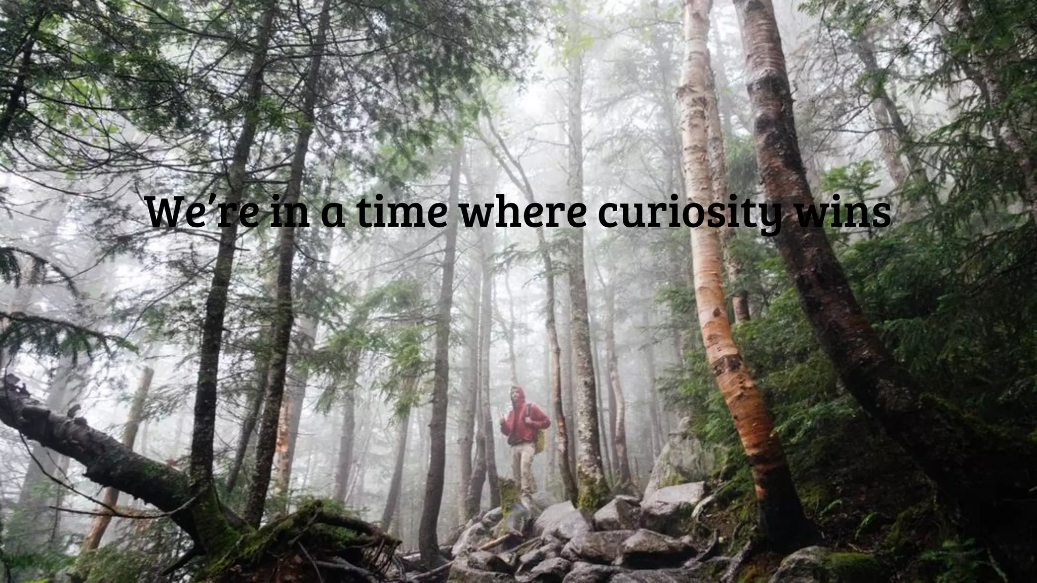 We’re in a time where curiosity wins
 