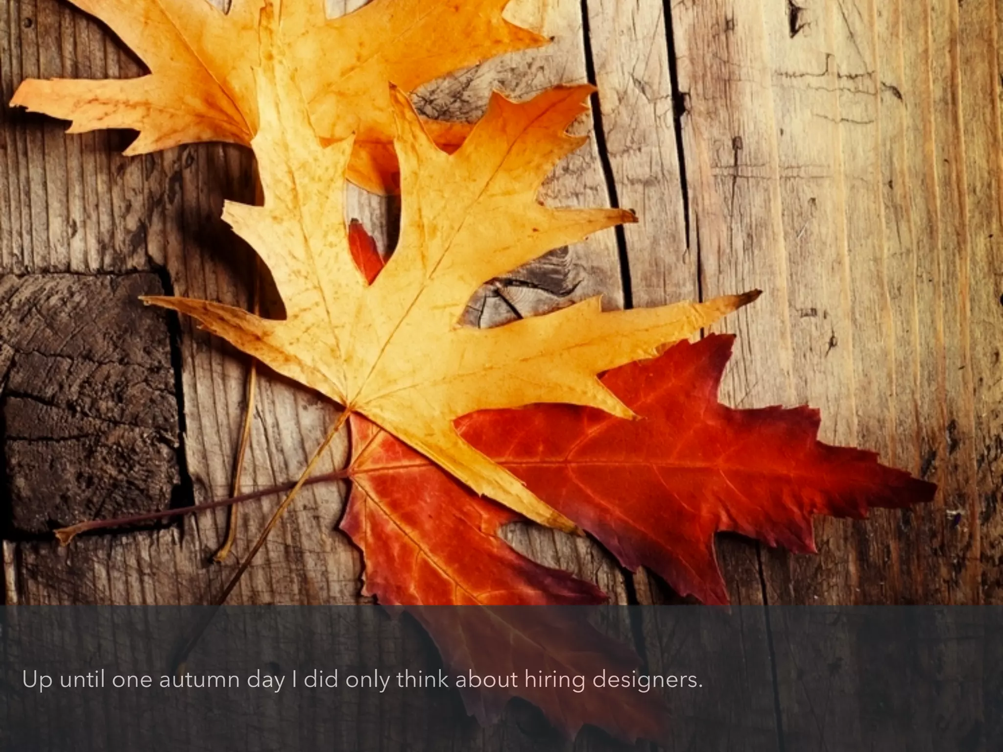 Up until one autumn day I did only think about hiring designers.
 