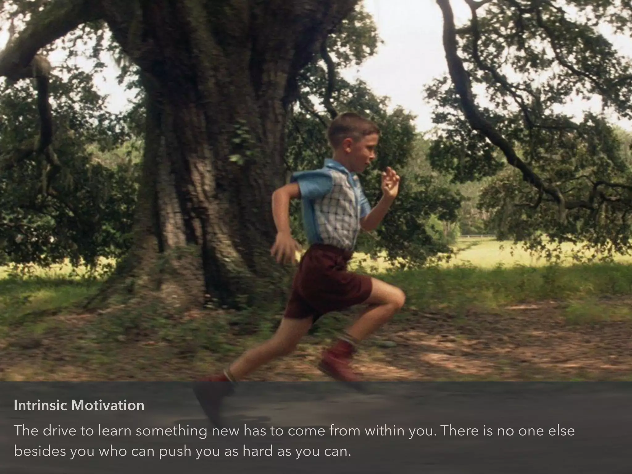 Intrinsic Motivation
The drive to learn something new has to come from within you. There is no one else
besides you who can push you as hard as you can.
 