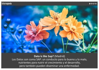 Data is like Sap? (Madrid)
Los Datos son como SAP: un conducto para lo bueno y lo malo,
nutrientes para nutrir el crecimie...