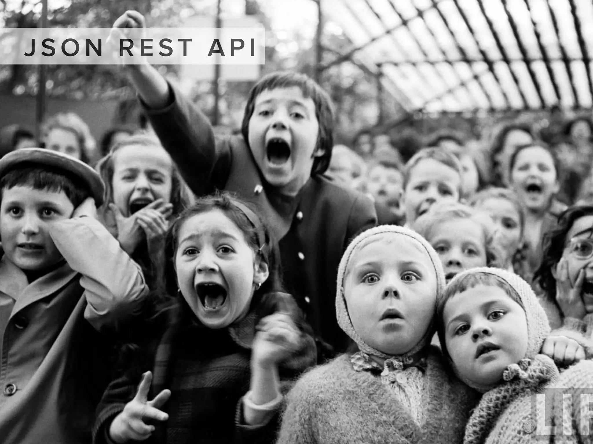 J S O N R E ST A P I
 