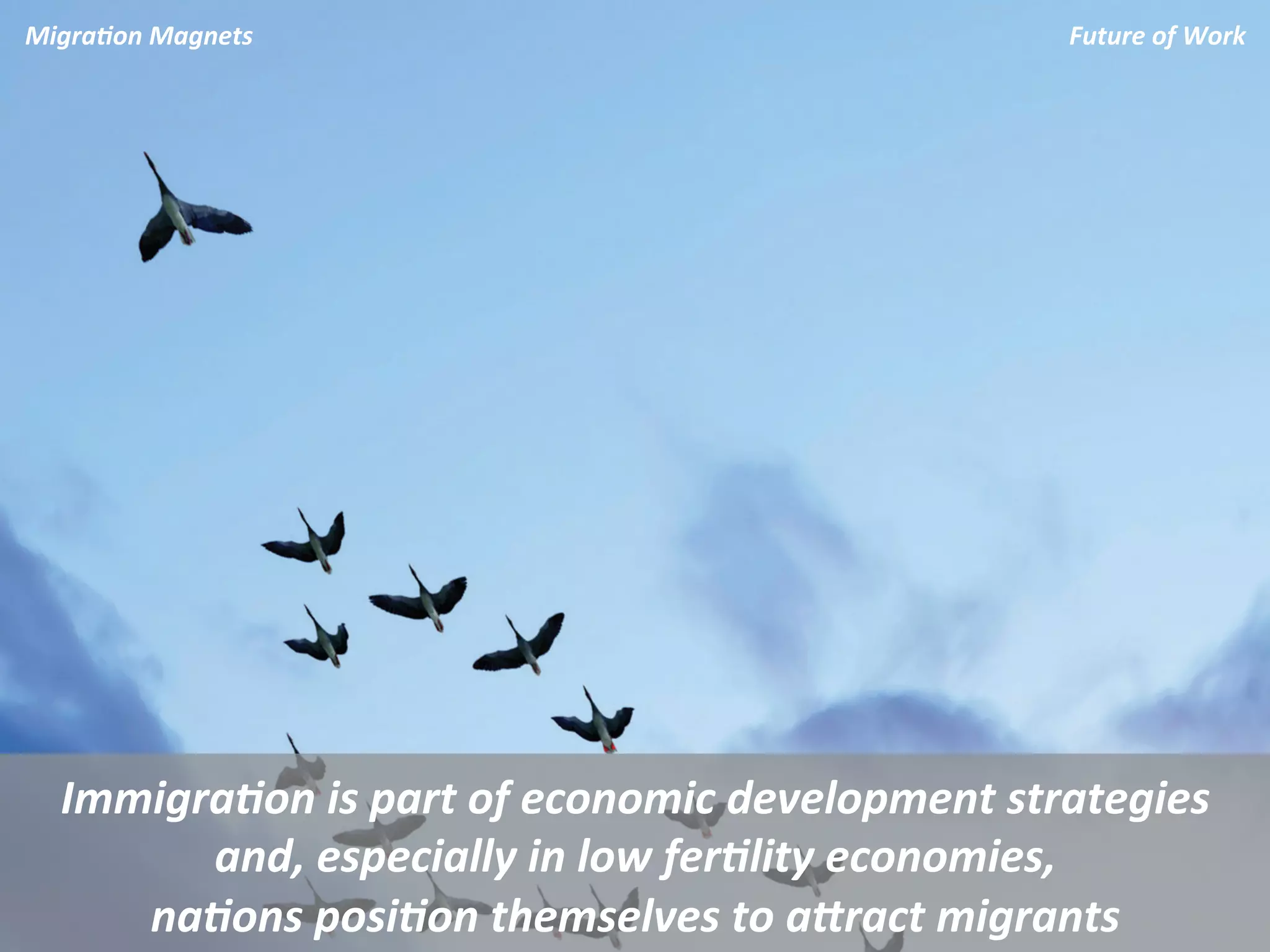 Migra.on	
  Magnets	
                                                 Future	
  of	
  Work	
  




   Immigra.on	
  is	
  part	
  of	
  economic	
  development	
  strategies	
  	
  
         and,	
  especially	
  in	
  low	
  fer.lity	
  economies,	
  	
  
      na.ons	
  posi.on	
  themselves	
  to	
  aJract	
  migrants	
  
 