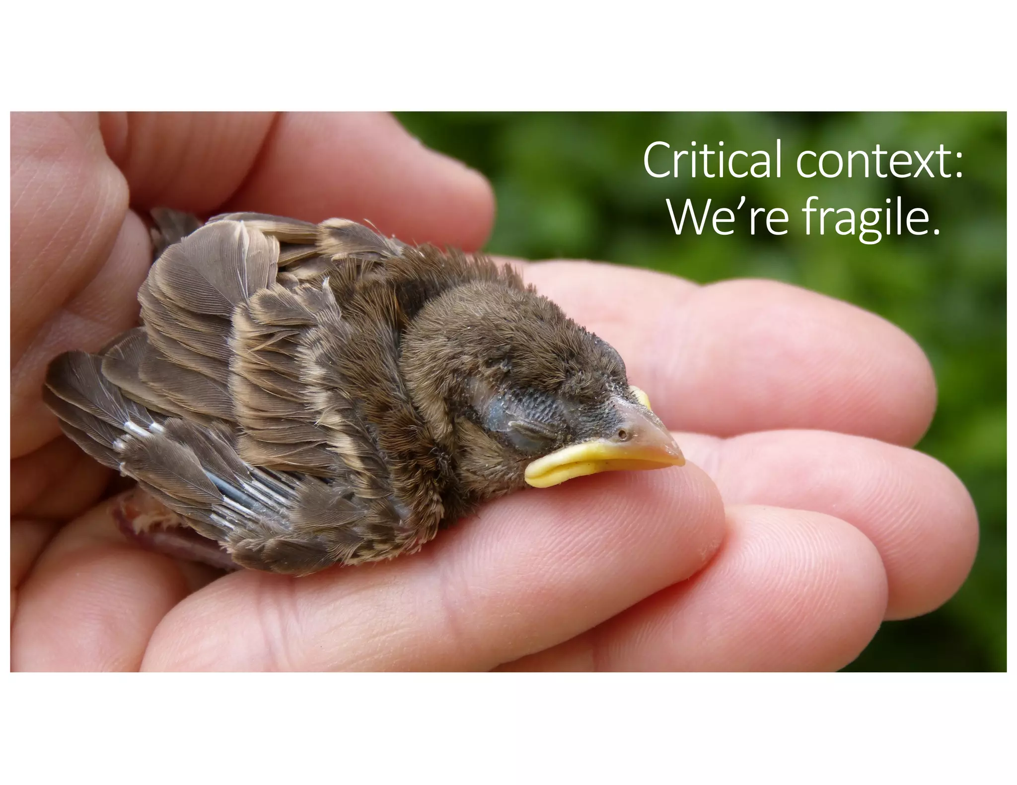 Critical context:
We’re fragile.
 
