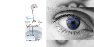 Molecular self-awareness 