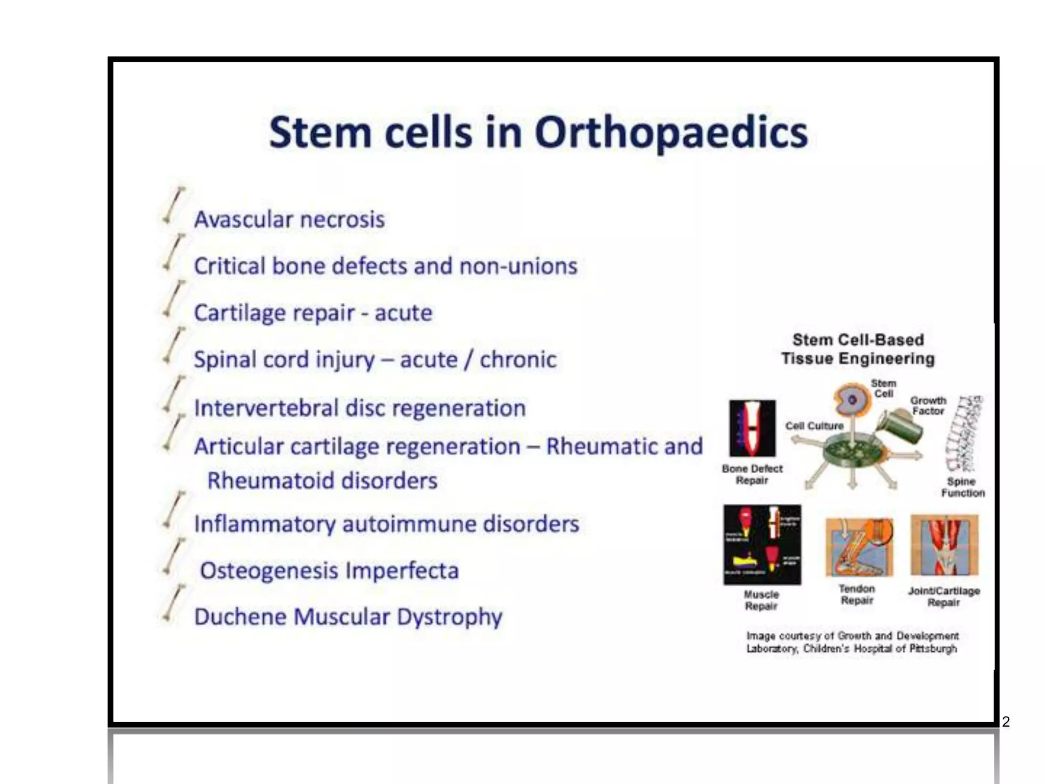 Future orthopedics basics of stem cells and tissue engineering dr ...