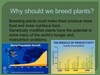  Breeding  plants could make them produce more
  food and more nutritious food.
 Genetically modified plants have the potential to
  solve many of the world’s hunger and.
  malnutrition problems.
 