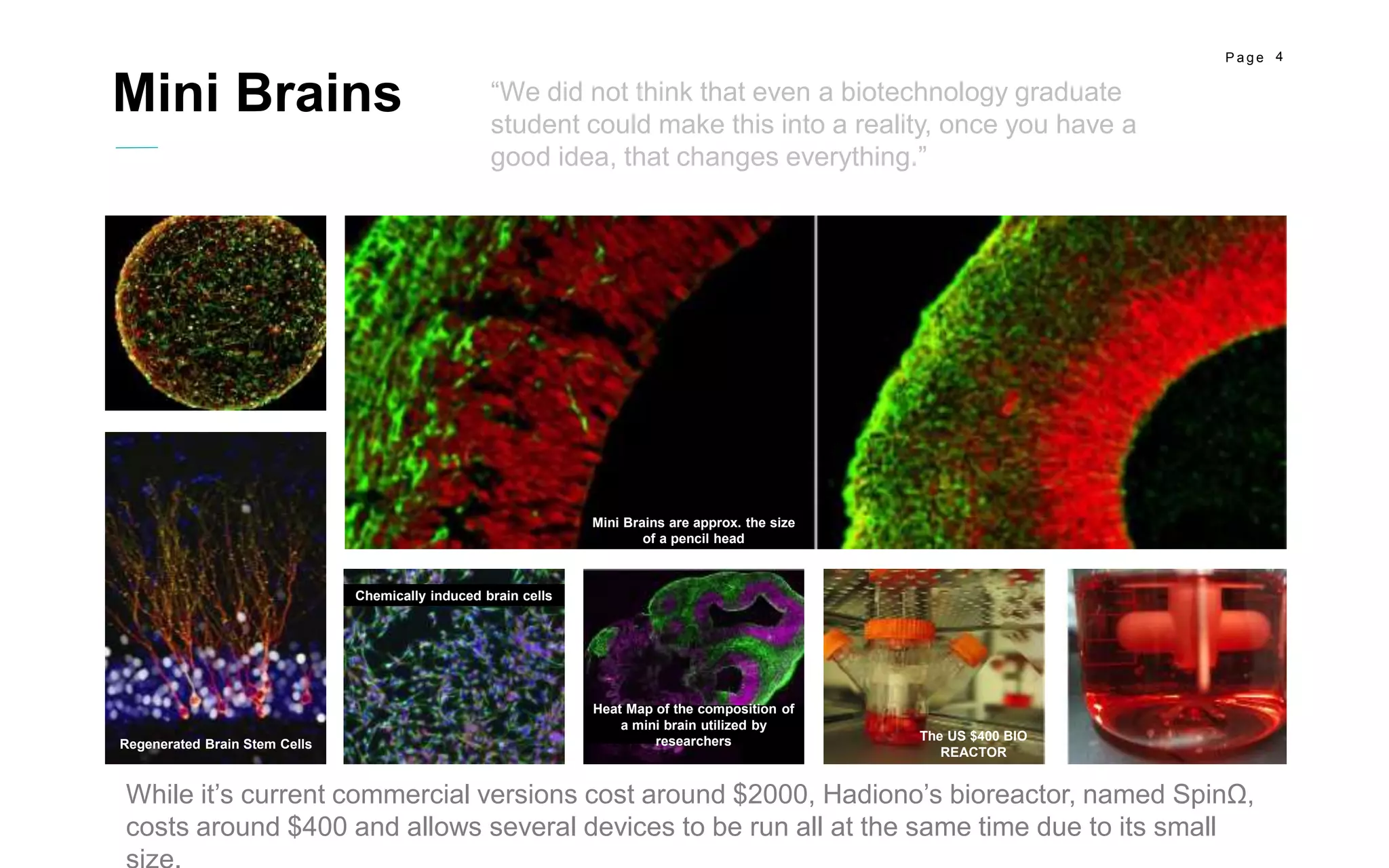 4P a g e
Mini Brains
Mini Brains are approx. the size
of a pencil head
Regenerated Brain Stem Cells
Chemically induced brain cells
Heat Map of the composition of
a mini brain utilized by
researchers The US $400 BIO
REACTOR
“We did not think that even a biotechnology graduate
student could make this into a reality, once you have a
good idea, that changes everything.”
While it’s current commercial versions cost around $2000, Hadiono’s bioreactor, named SpinΩ,
costs around $400 and allows several devices to be run all at the same time due to its small
 