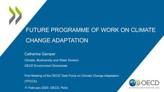 FUTURE PROGRAMME OF WORK ON CLIMATE
CHANGE ADAPTATION
Catherine Gamper
Climate, Biodiversity and Water Division
OECD Environment Directorate
First Meeting of the OECD Task Force on Climate Change Adaptation
(TFCCA)
11 February 2020, OECD, Paris
 