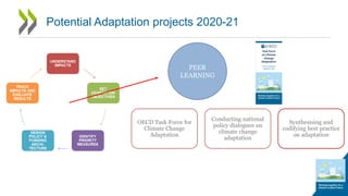Potential Adaptation projects 2020-21
Conducting national
policy dialogues on
climate change
adaptation
PEER
LEARNING
OECD Task Force for
Climate Change
Adaptation
Synthesising and
codifying best practice
on adaptation
 