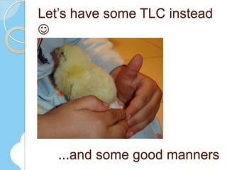 Copyright Helen Keegan 2009. All rights reserved.19Source: Springwise.com