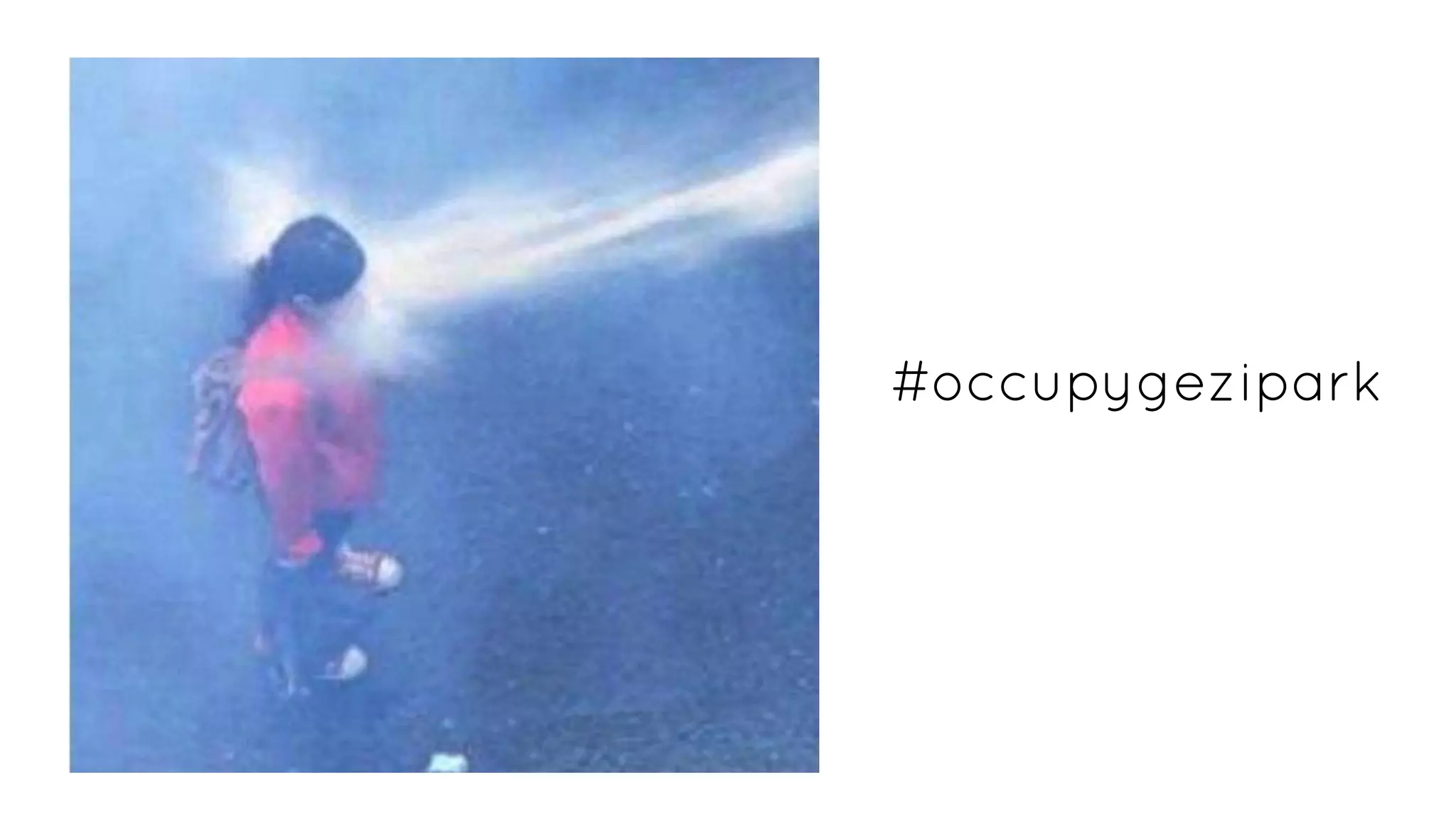 #occupygezipark
 