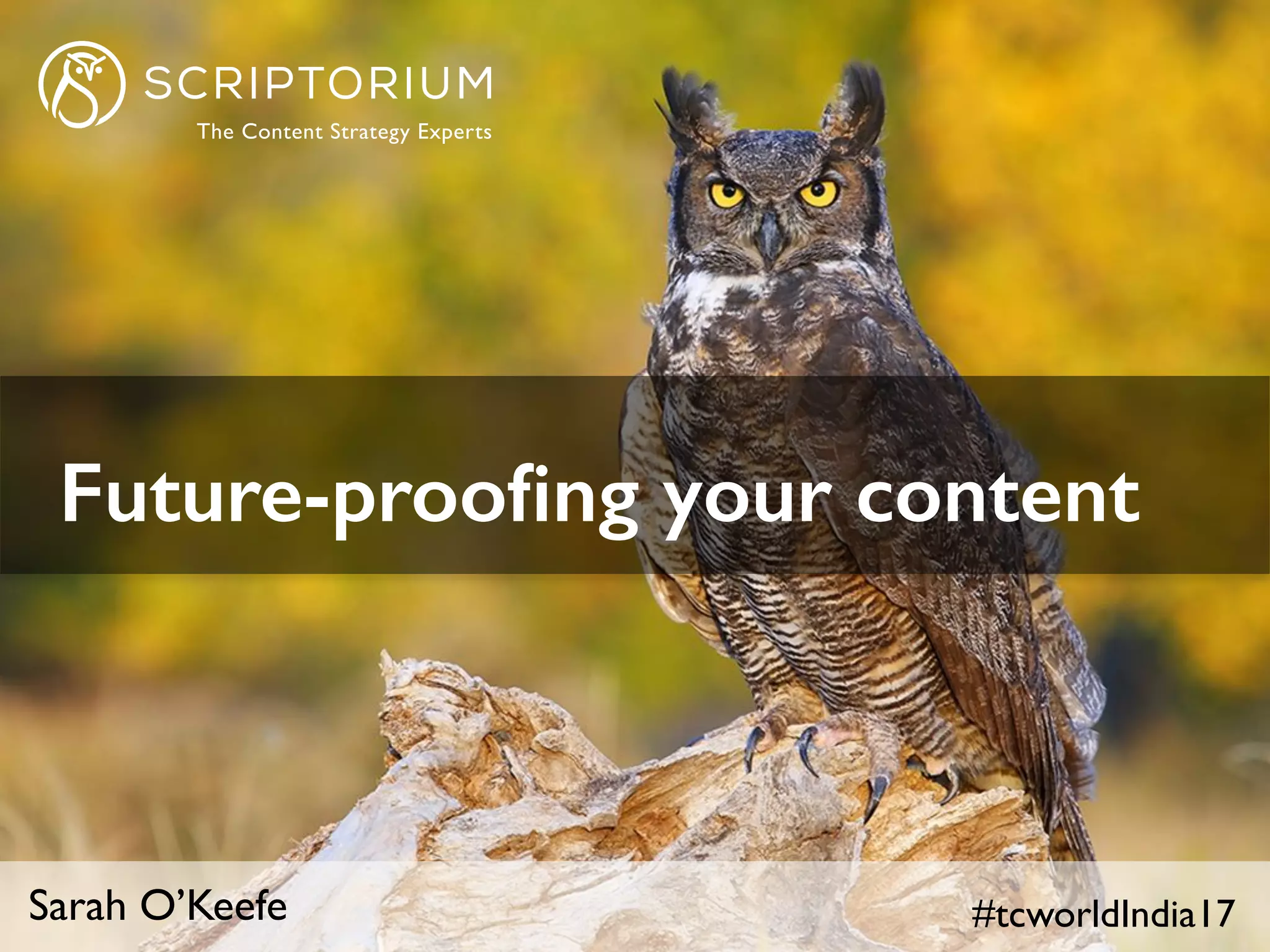 #tcworldIndia17Sarah O’Keefe
Future-prooﬁng your content
 