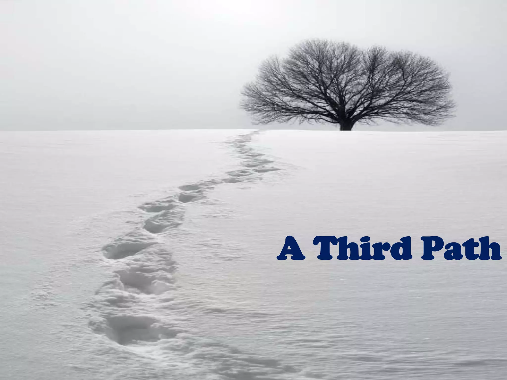 eBook reader usage is largely middle-aged.