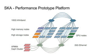 SKA - Performance Prototype Platform
 