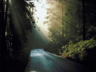 The Key to Living Now and
Preparing for the Future is.....
Friendship
 