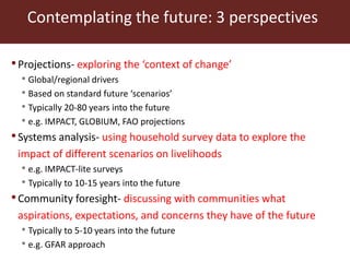 Agricultural futures in the humid tropics: A multi-scale approach	