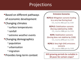 Agricultural futures in the humid tropics: A multi-scale approach	