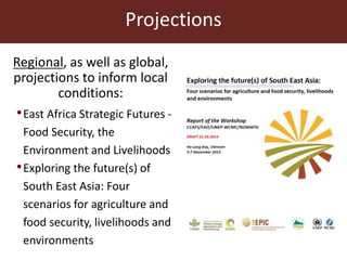 Agricultural futures in the humid tropics: A multi-scale approach	