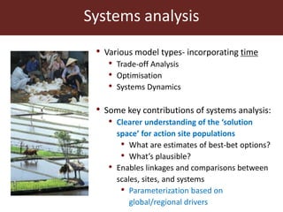 Agricultural futures in the humid tropics: A multi-scale approach	
