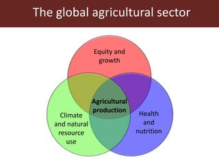 Agricultural futures in the humid tropics: A multi-scale approach	