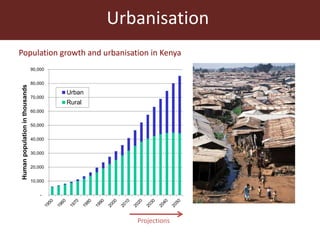 Agricultural futures in the humid tropics: A multi-scale approach	