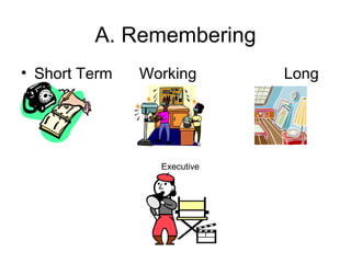 A. Remembering Short Term Working Long Term Executive