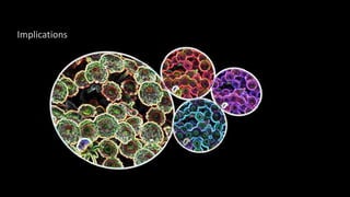 @libraryfuture Joe Murphy
Implications
 