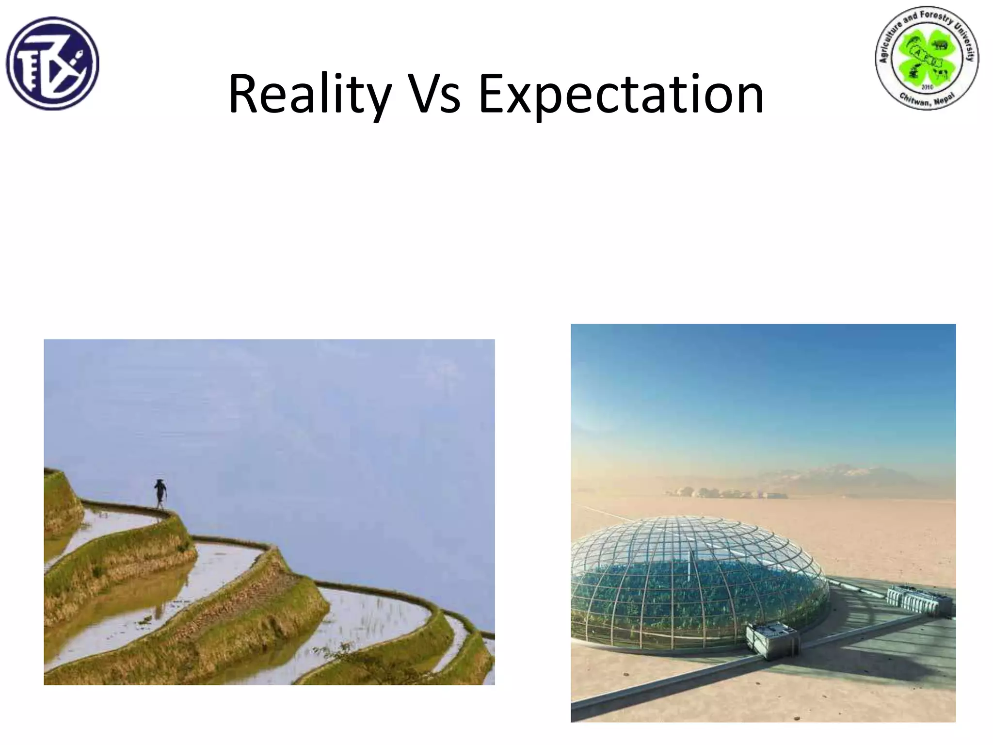 Reality Vs Expectation
 